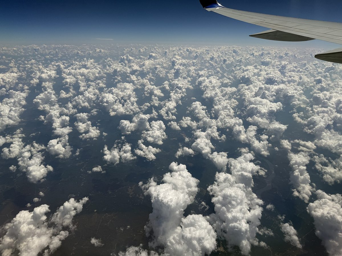 Skyline and aerial view of Tuscaloosa, AL - LD Movers moving service area